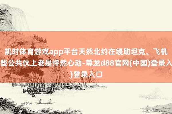 凯时体育游戏app平台天然北约在缓助坦克、飞机这些公共伙上老是怦然心动-尊龙d88官网(中国)登录入口